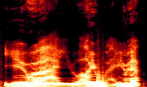 A spectrogram of the human voice