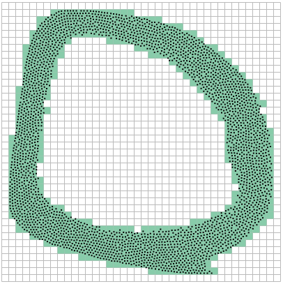 Fluid particles have amassed into a doughnut